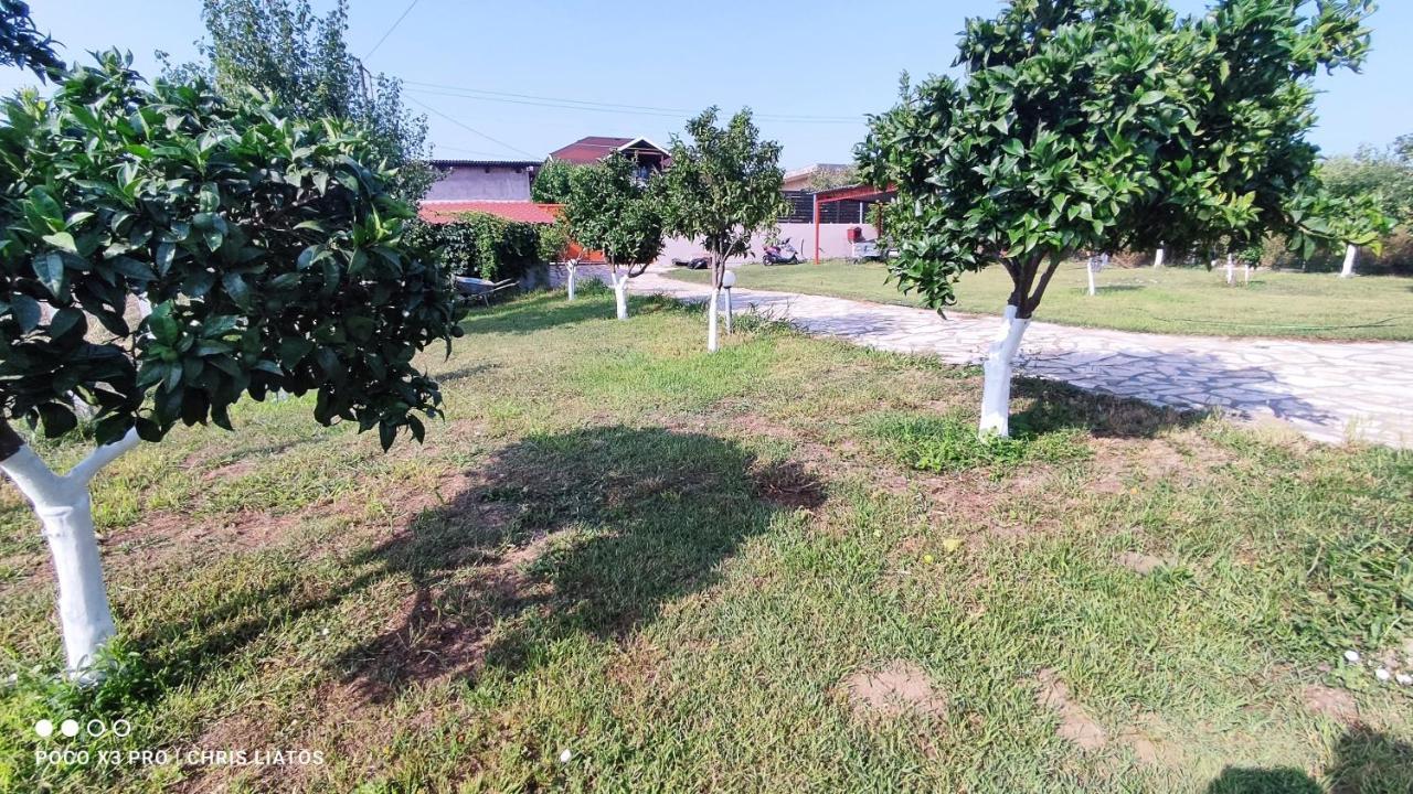 Vivian Philoxenia Villa Nea Sampsounta Ngoại thất bức ảnh